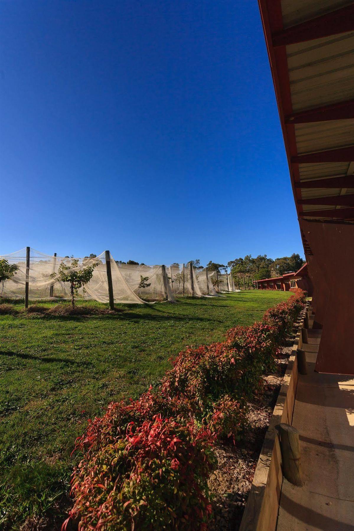 De'Vine Escape Villa Dixons Creek Exterior photo